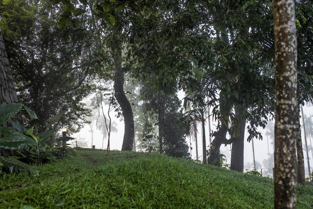 Great Trails Wayanad By Grt Hotels Exterior foto